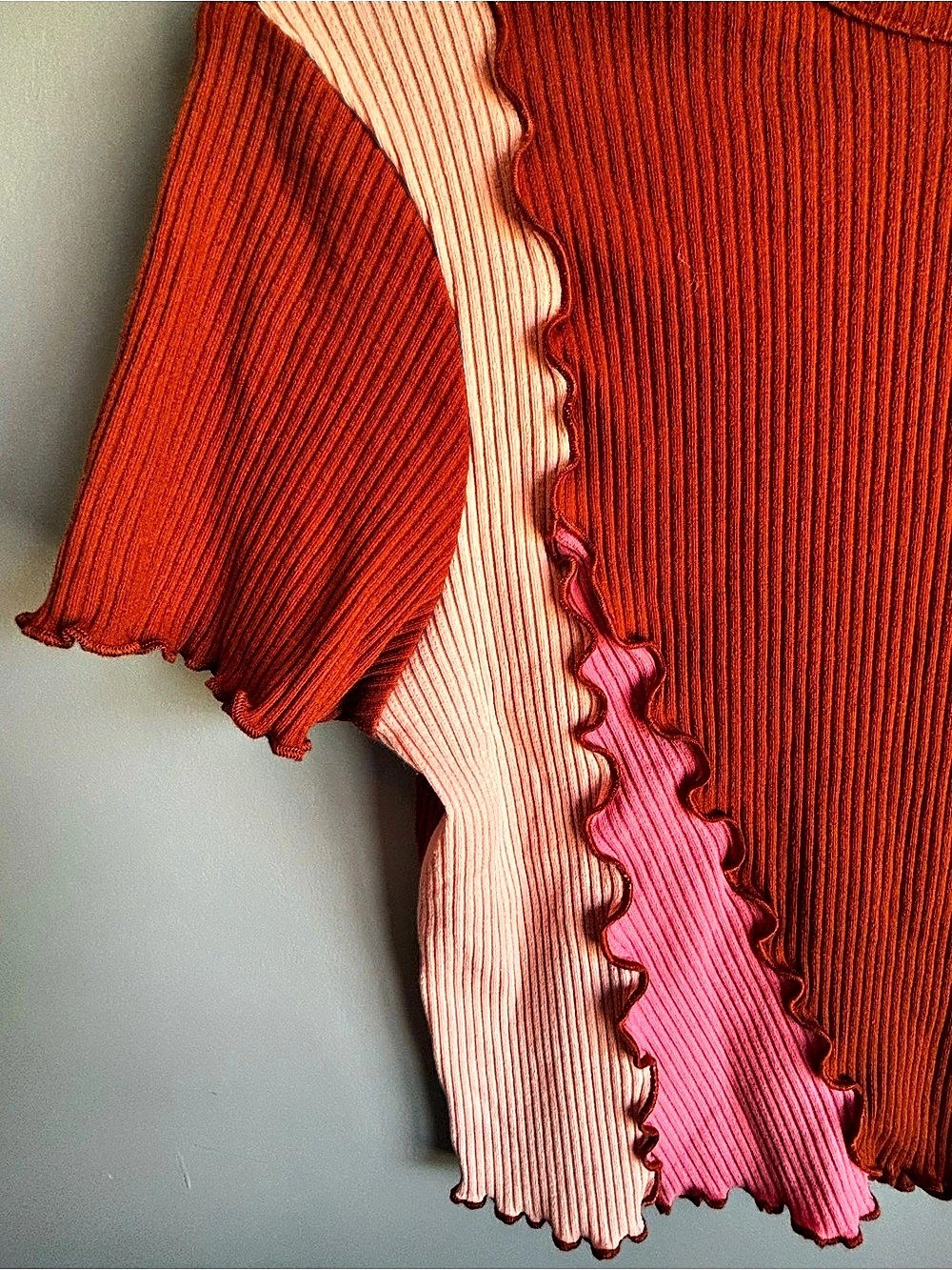 wild fable Color Block Ribbed Crop Top - Picture 5 of 5